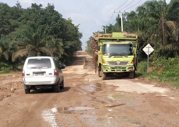 Pengaspalan Jalan Simpang Raja-Sinar Dewa Terkendala Kerusakan Jalan 3 Km