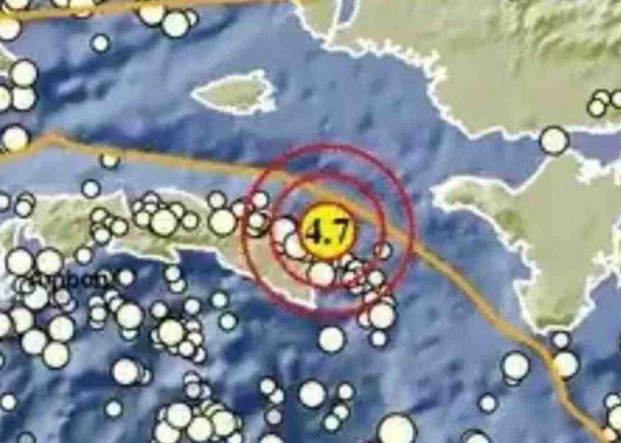 Gempa Magnitudo 4,7 Guncang Seram Bagian Timur pada Kedalaman 11 Km, Tak Berpotensi Tsunami