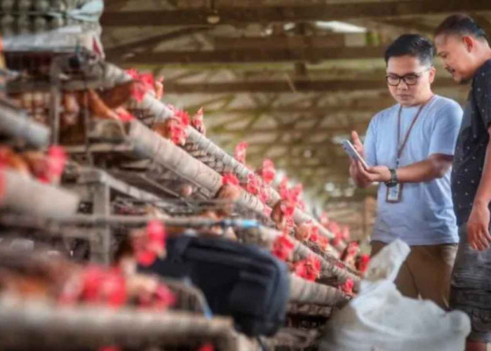 Indeks Bisnis UMKM Tembus 102,1, BRI Ungkap Kondisi Usaha hingga Q3 2026