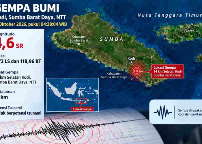 Gempa Beruntun Guncang Sejumlah Wilayah Indonesia Pagi Ini, Kodi NTT Terkuat M4,6