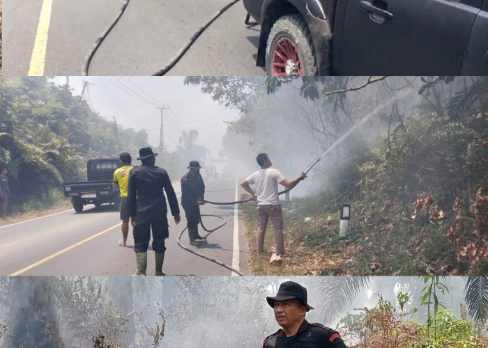 Personel Satbrimob Polda Sumsel Batalyon B Pelopor Berjibaku Padamkan Karhutla di Selangit Musi Rawas 