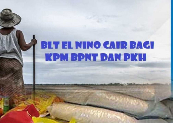 Info Terkini! BLT Rp200.000 Segera Cair Bagi KPM BPNT dan PKH di 2 Wilayah Ini
