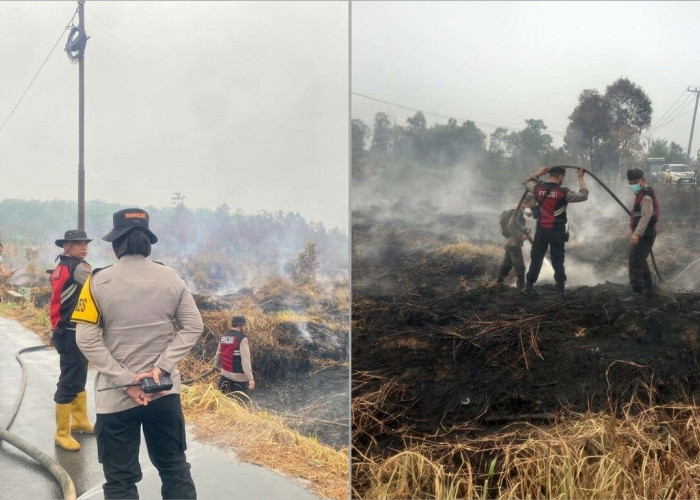 Hujan Belum Mampu Jinakkan Karhutla Ogan Ilir! Lahan Gambut Masih Berasap, Kapolres Turun Langsung