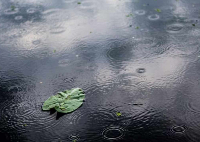 Cuaca Sumatera Selatan Hari Ini: Mayoritas Daerah Diprediksi Hujan, Cek Wilayah Anda!