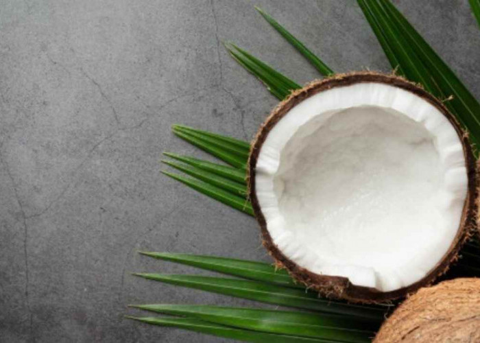Kelapa Bukan Sekadar Buah Biasa! Ini Manfaatnya yang Bikin Kaget
