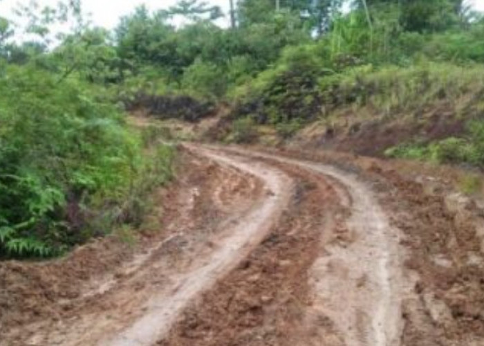 75 Tahun Tak Tersentuh Aspal, Pembangunan Jalan di Pelosok Lampung Ini Berulang Kali Rusak