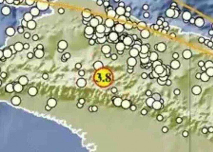 Gempa Magnitudo 3.8 Guncang Jayawijaya Papua, Cek Episentrum dan Kedalamannya Disini