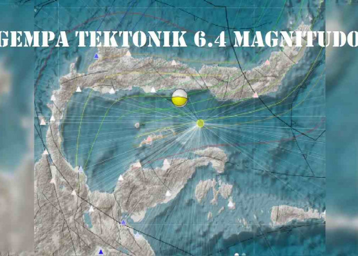 Aktivitas Deformasi Lempeng Sulawesi Utara Picu Gempa 6.4 Magnitudo, Ini Dampaknya