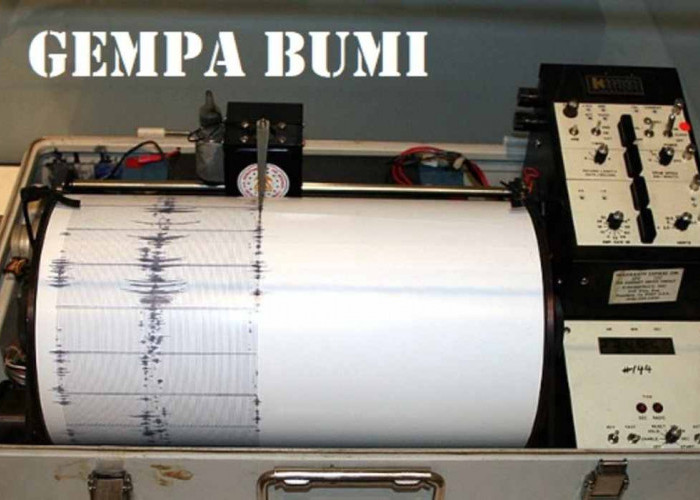 Dalam Sehari Tuban Jawa Timur Digoyang 2 Kali Gempa, Segini Kekuatan Magnitudonya