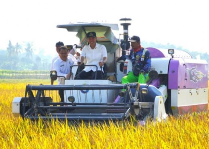 Bupati Muchendi Ungkap Kunci Sukses Swasembada Pangan di OKI
