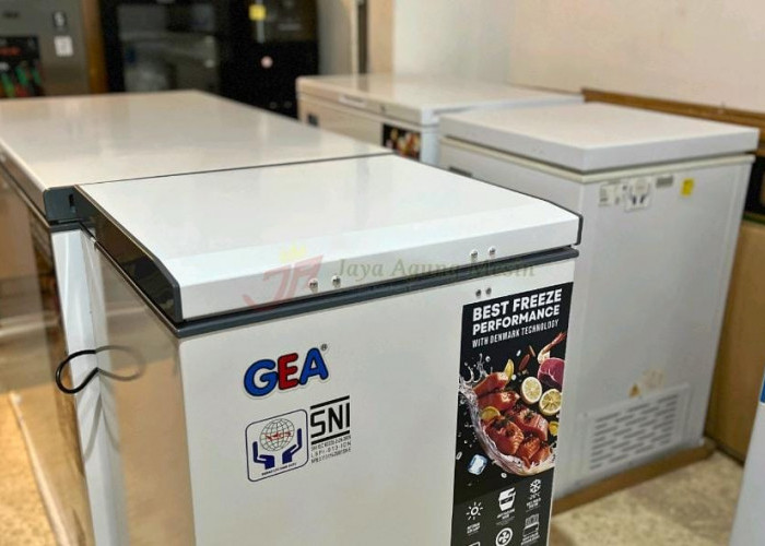 Freezer Box, Faktor Penting yang Sering Diabaikan dalam Usaha Frozen Food Rumahan