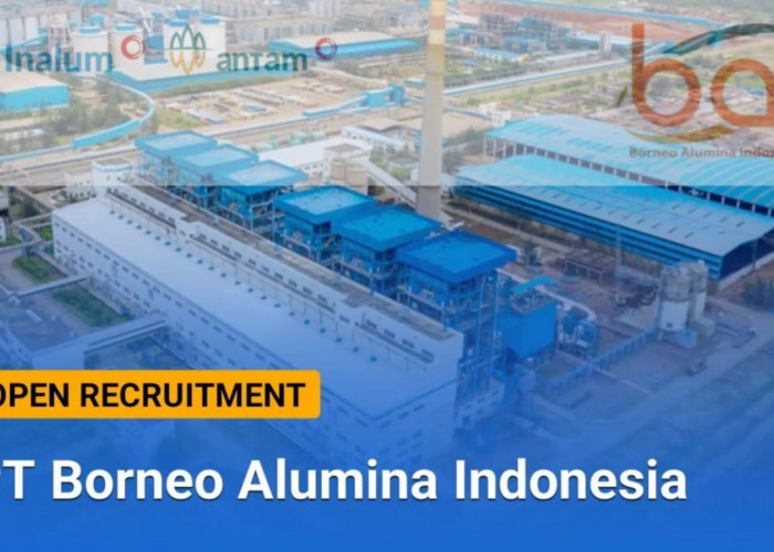 Lowongan Kerja BUMN PT Borneo Alumina Indonesia Sebagai Internship IT (Information Technology) Ini Syaratnya