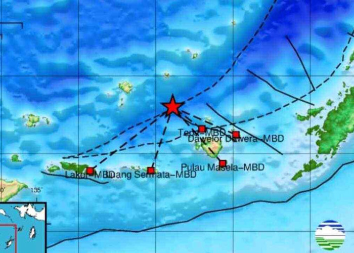 Gempa 4.7 Guncang Maluku Barat Daya, Cek Update Pusat Gempa Regional IX Ambon