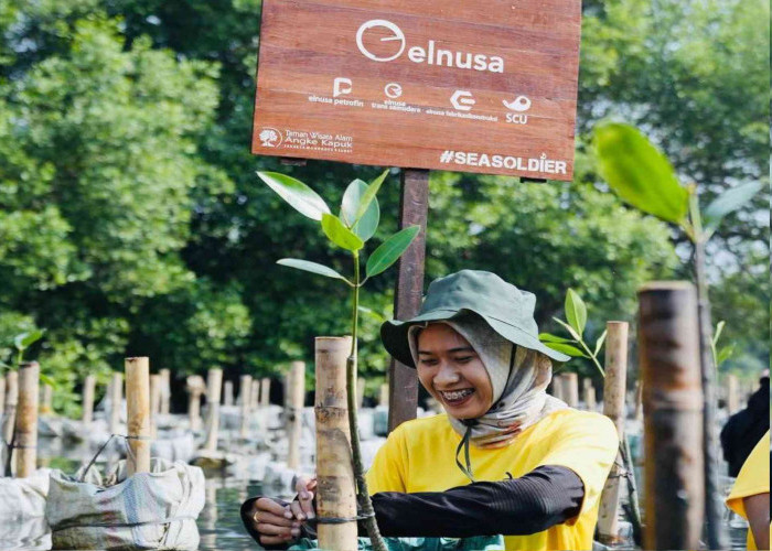 Elnusa Merealisasikan 39 Program CSR Sepanjang Tahun 2024 untuk 4 Sektor Ini