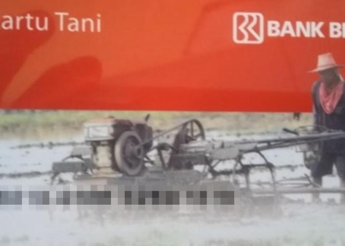 Gunakan Kartu Tani BRI, Beli Pupuk Subsidi Jadi Lebih Efisien 