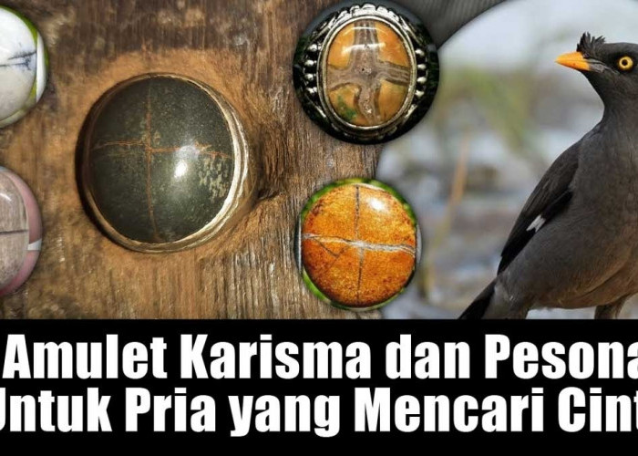 Batu Akik Tapak Jalak, Amulet Karisma dan Pesona Untuk Pria yang Cari Cinta, Yuk Tambahkan ke Koleksi Anda