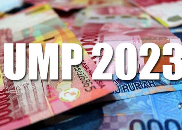 UMP Sumsel 2023 Masuk 5 Tertinggi di Indonesia, Berikut Urutannya!