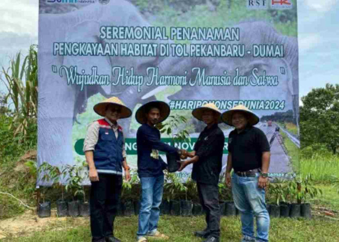 Konservasi Gajah Sumatera Sekitar Tol Permai Riau, HK Siapkan 7.000 Bibit Pohon Jenis Ini