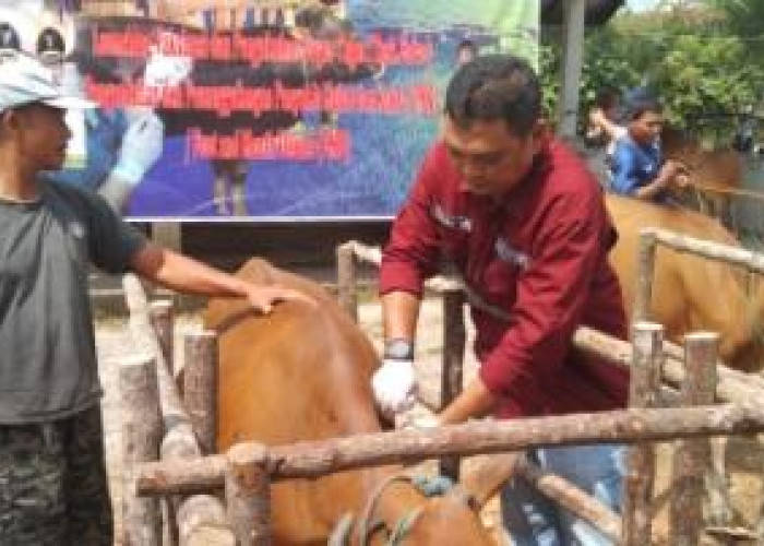 Pasar dan Klinik Hewan di Kabupaten Lahat Telah Diresmikan, Cek Lokasi dan Fasilitasnya