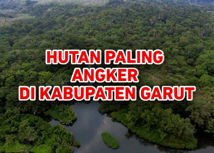Hutan Paling Angker di Kabupaten Garut, Tapi Menyimpan Keindahan Alam yang Luar Biasa, Bisa Tebak?