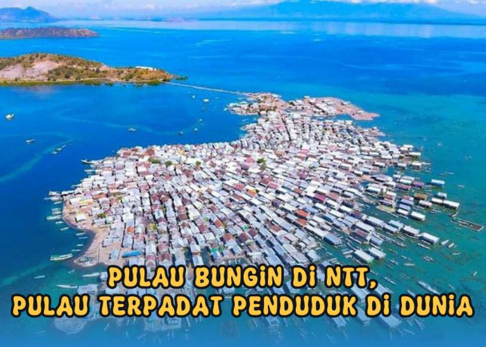 Bukan Pulau Jawa! Inilah Pulau di Indonesia yang Jumlah Penduduknya Paling Padat