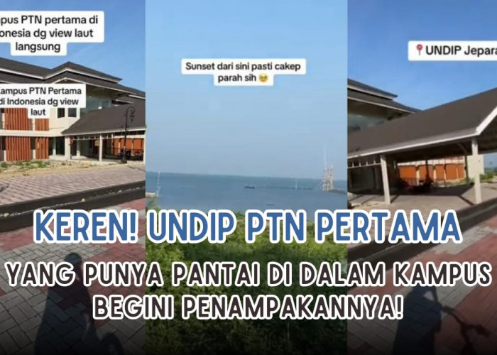 WOW! Undip jadi PTN Pertama di Indonesia yang Punya view Pantai di dalam Kampus, Begini Penampakannya!