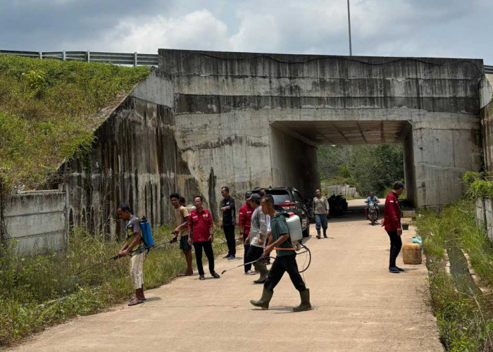 Akses Desa Talang Batu Kini Plong! Semak Belukar 6 Km yang Ganggu Jalan Akhirnya Dibabat Habis