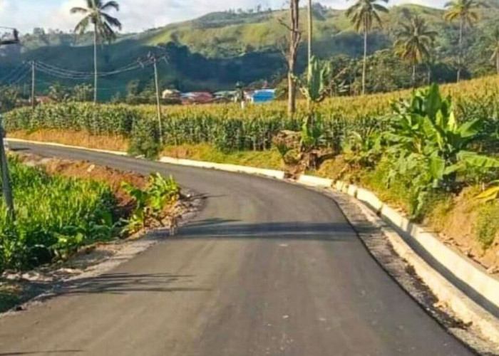 Telan Dana Rp1,2 Triliun, Jalan Rusak di Sumatera Utara Kembali Mulus, Perjalanan Jadi Lancar 