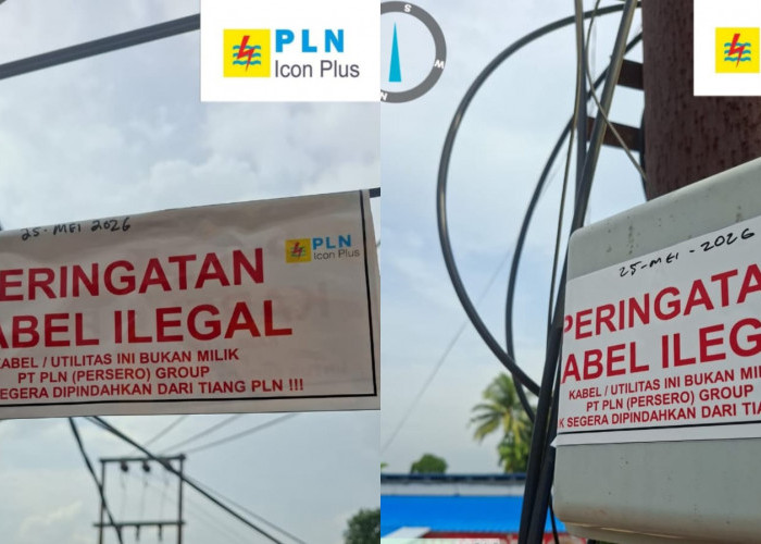 PLN Icon Plus Tertibkan Jaringan Internet Ilegal di Tiang PLN Kawasan Gandus