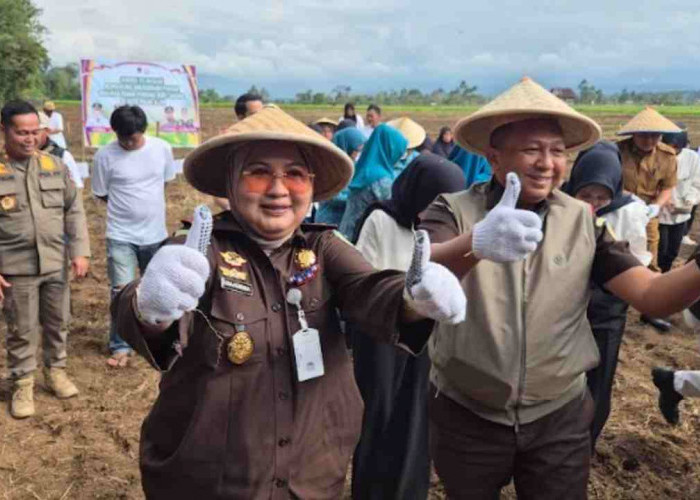 Jaksa Mandiri Pangan, Kejari Pagar Alam Bersama Kajati Sumsel Tanam Jagung