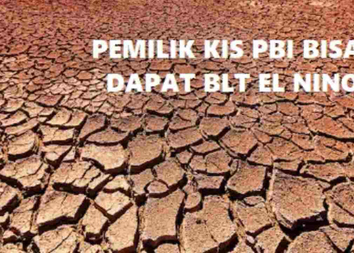 Alhamdulilah, Pemilik BPJS KIS PBI Bisa Dapat BLT El Nino 2024, Asal Penuhi 5 Ketentuan Ini