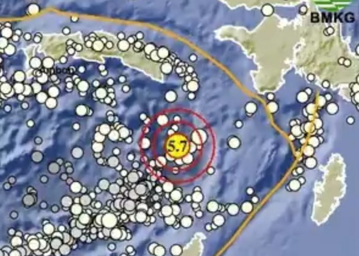 Gempa 5.7 Magnitudo Guncang Maluku Tenggara, Tak Berpotensi Tsunami