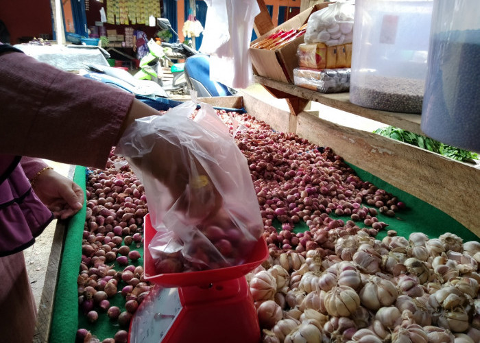 Harga Sawit Turun, Pasar di Desa Lawang Agung Sepi Pembeli
