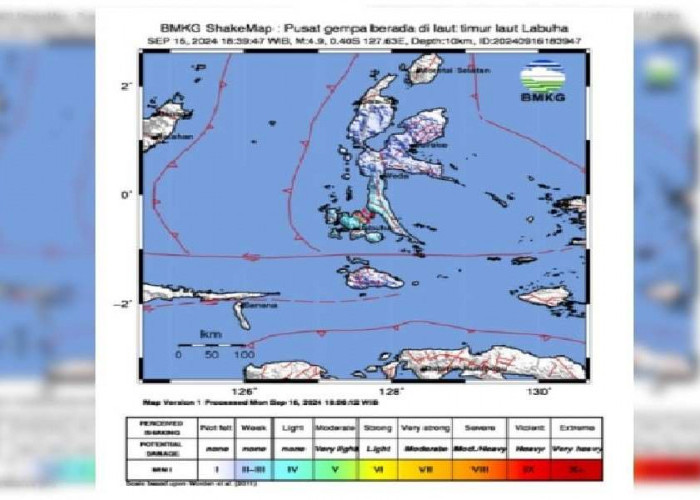 Gempa Laut 4.9 Magnitudo terjadi di Labuha Maluku Utara, Cek Episentrum dan Kedalamannya