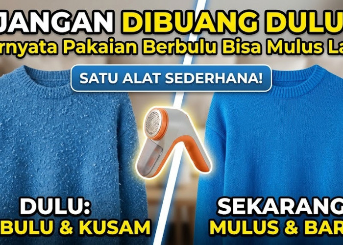 Jangan Dibuang Dulu! Ternyata Pakaian Berbulu Bisa Mulus Lagi Cuma Pakai Satu Alat Sederhana Ini