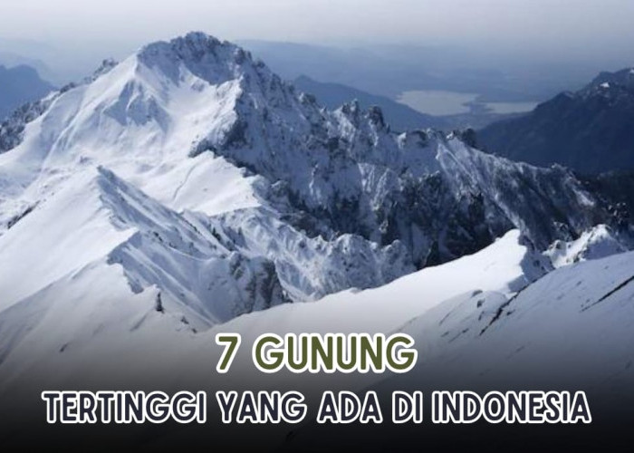 7 Gunung Tertinggi yang ada di Indonesia, Papua Mendominasi, Salah Satunya Tertinggi di Dunia