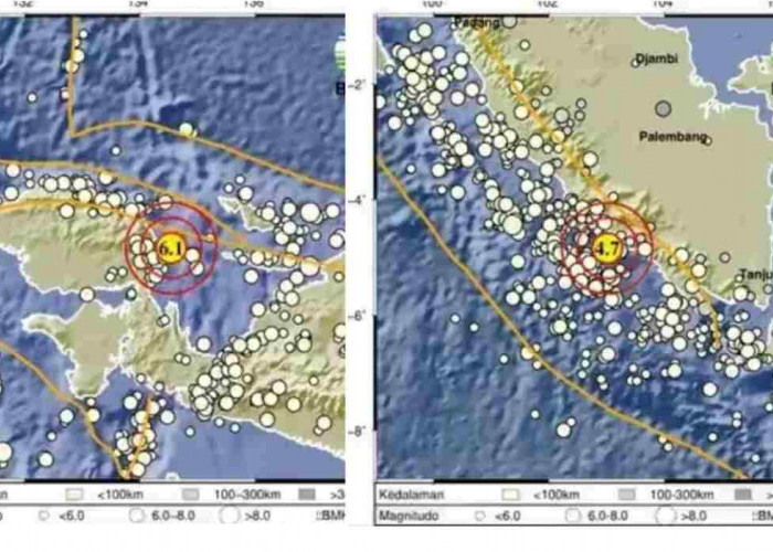 Gempa Goyang Manokwari Papua dan Kaur Bengkulu Hari Ini, Kekuatannya Segini