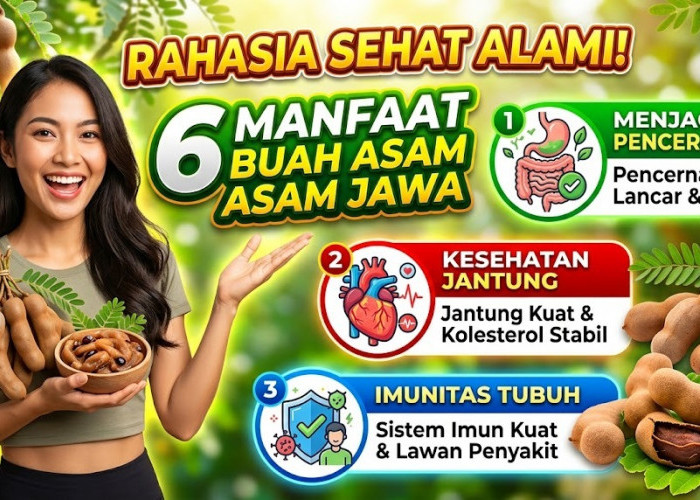 Rahasia Sehat Alami! 6 Manfaat Buah Asam Jawa untuk Menjaga Pencernaan, Jantung, dan Imunitas Tubuh