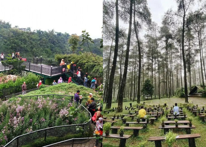 6 Tempat Wisata Populer di Lembang yang  Instagramable, Cocok Buat Selfie Bareng Keluarga 