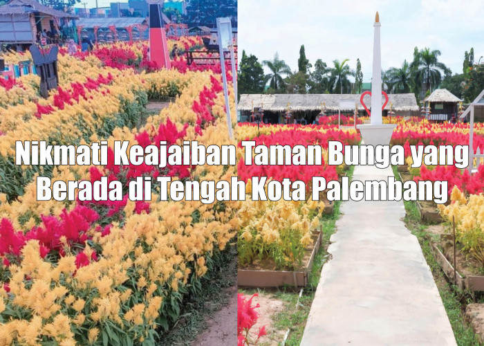 Memanjakan Mata, Nikmati Keajaiban Taman Bunga yang Berada di Tengah Kota Palembang