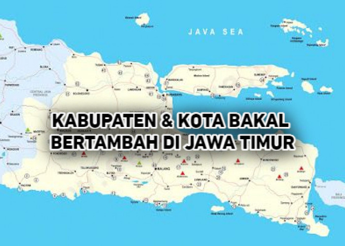 Kabupaten dan Kota Bakal Bertambah di Jawa Timur? Berikut Ini Nama Daerahnya
