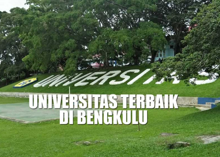 4 Universitas Terbaik di Bengkulu, Negeri dan Swasta yang Masuk Rangking Dunia, Ada UNIB Peringkat 55 Nasional