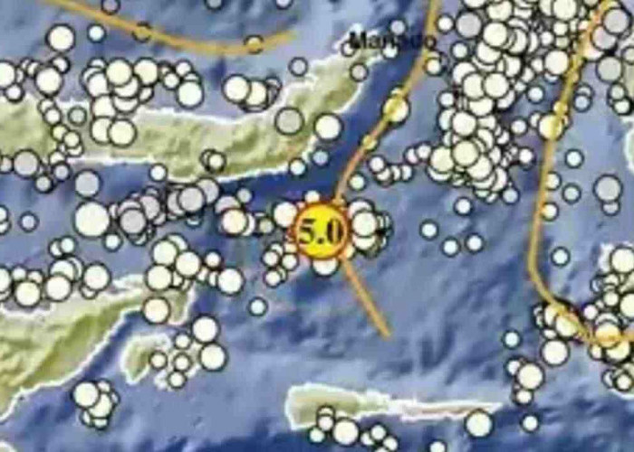Rentetan Gempa Guncang Indonesia, Bolaang Uki Sulut Terkuat Magnitudo 5,0