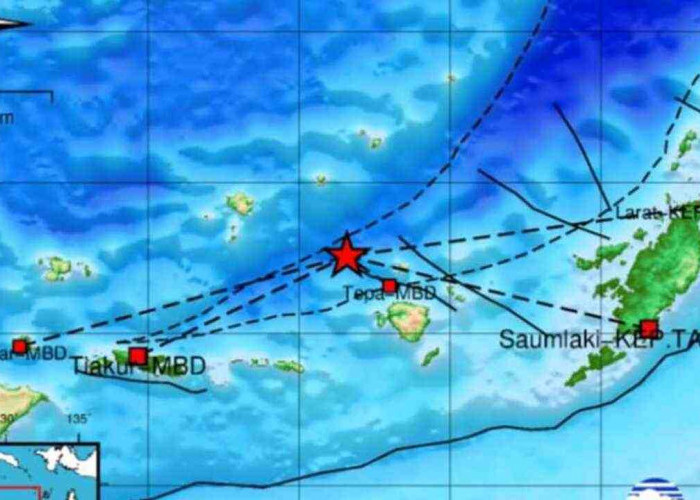 Pagi Ini Gempa 4.6 Magnitudo Guncang Maluku Barat Daya, Tak Berpotensi Tsunami, Cek Episentrumnya