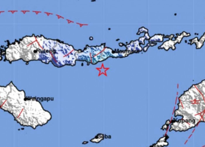 Update Terkini BMKG, Gempa 4.7 Magnitudo Guncang Ende NTT Pagi Ini