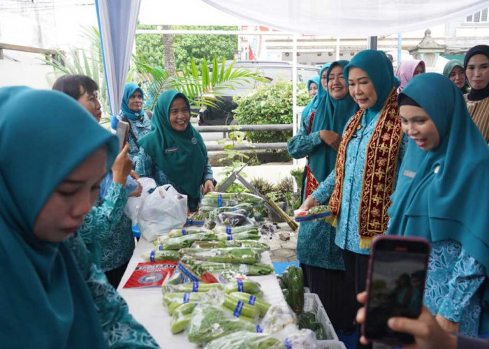 Bongkar Rahasia Sukses Warung PKK dan UP2K, Feby Herman Deru Puji Langsung Inovasi Cerdas Sheila Noberta