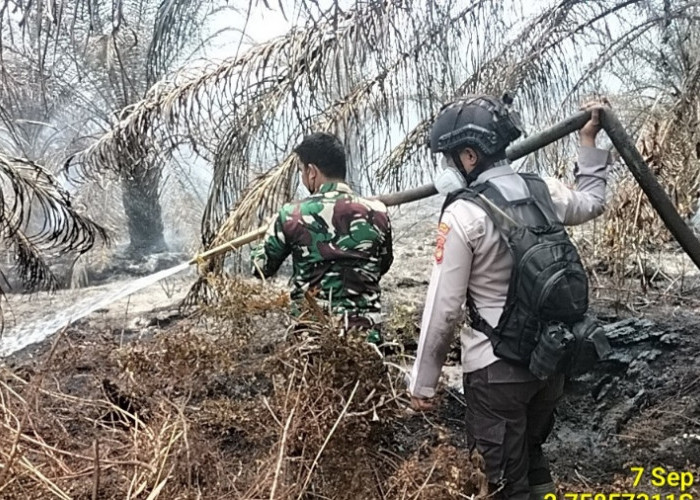 Polsek Sanga Desa Bersama Forkompimcam Kompak Padamkan Titik Api Karhutlah