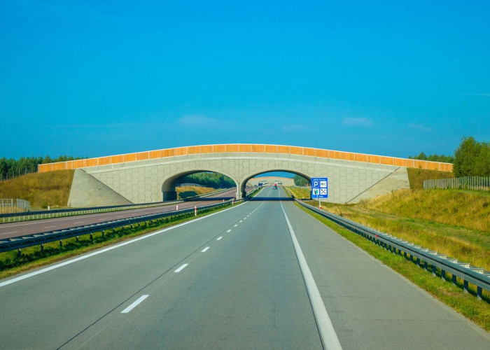 Progresnya Menjanjikan, Proyek Jalan Tol Palembang - Betung Sudah di KM 400, Bisa Dilintasi?