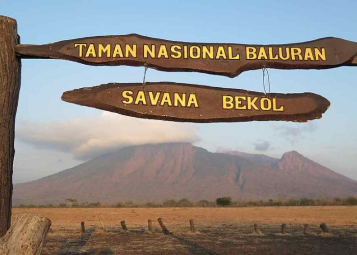 Little Africa In Java, Gunung di Jawa Timur Ini Miliki Savana yang Sangat Luas