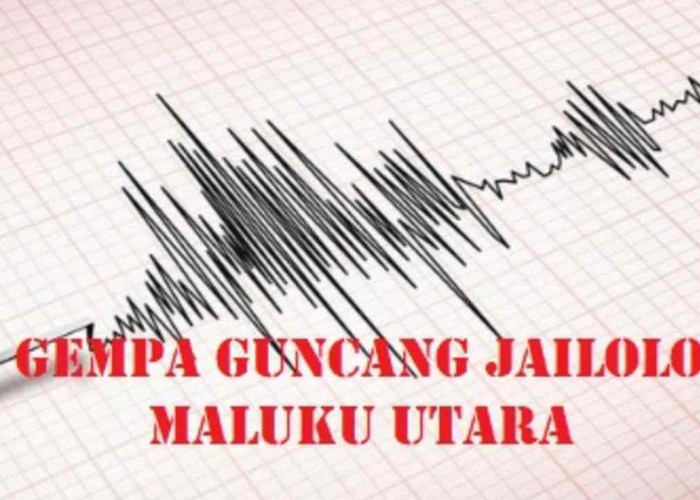 Update BMKG, Pagi Ini Gempa 4.2 Magnitudo Guncang Jailolo Maluku Utara, Tak Berpotensi Tsunami